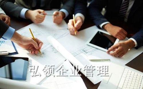 安徽弘領(lǐng)企業(yè)管理咨詢 賦能企業(yè)成長的智慧伙伴